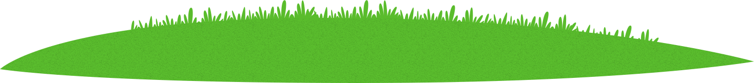footer bg